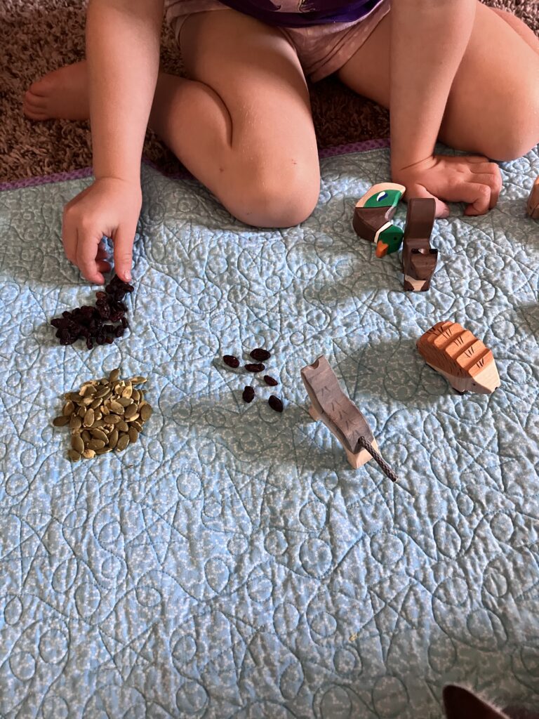 Preschool Math - A child's hand counts out raisins for a toy cat.