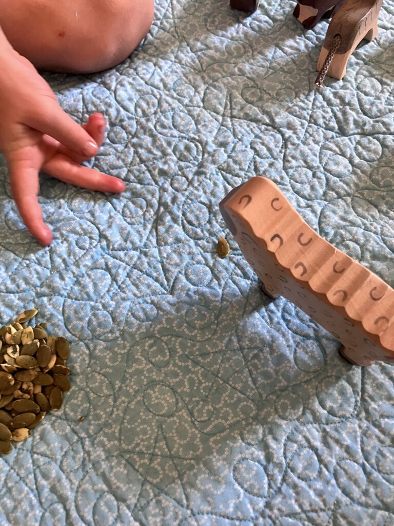Preschool Math - Child's hand gives a wooden sheep one pumpkin seed from a pile of pumpkin seeds